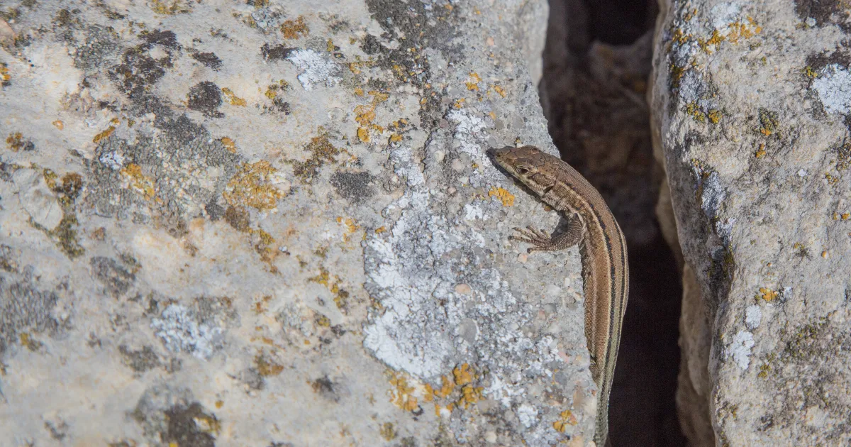 New Media | GELDTASCHE